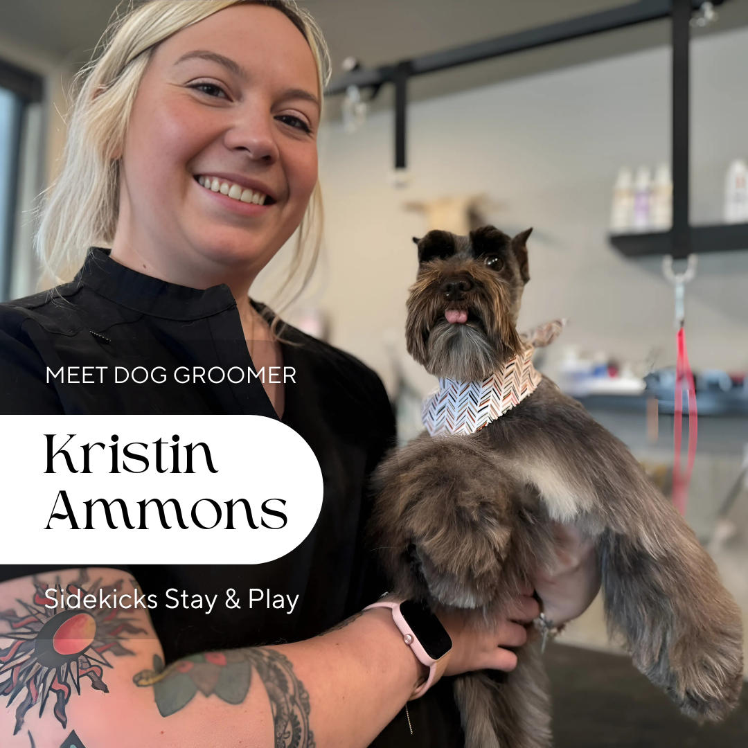 Kristin Ammons, Groomer