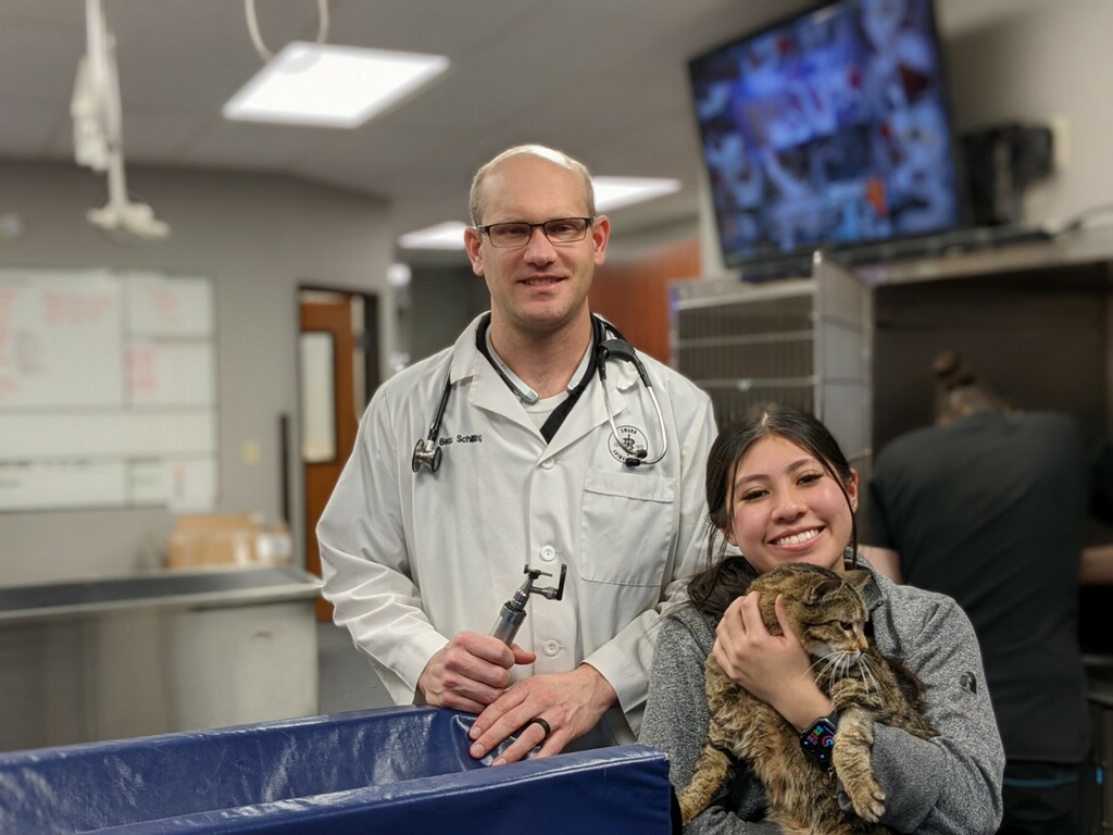 Cat Veterinary Care