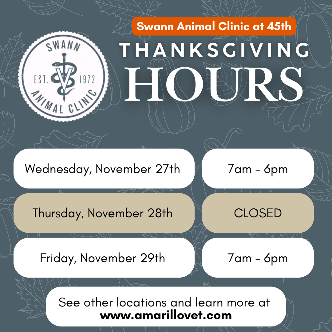 Swann Animal Clinic at 45th Thanksgiving Hours