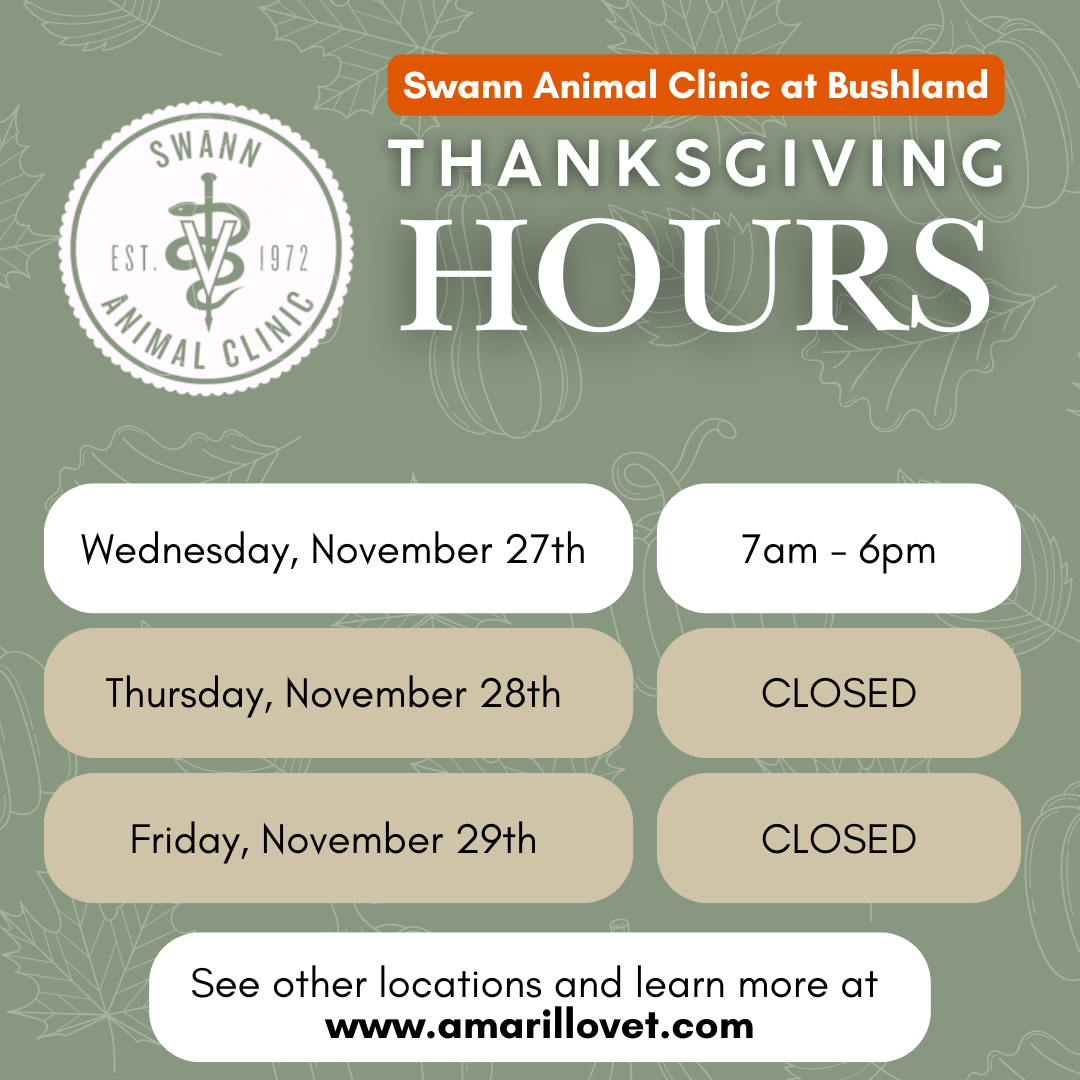 Swann Animal Clinic at Bushland Thanksgiving Hours