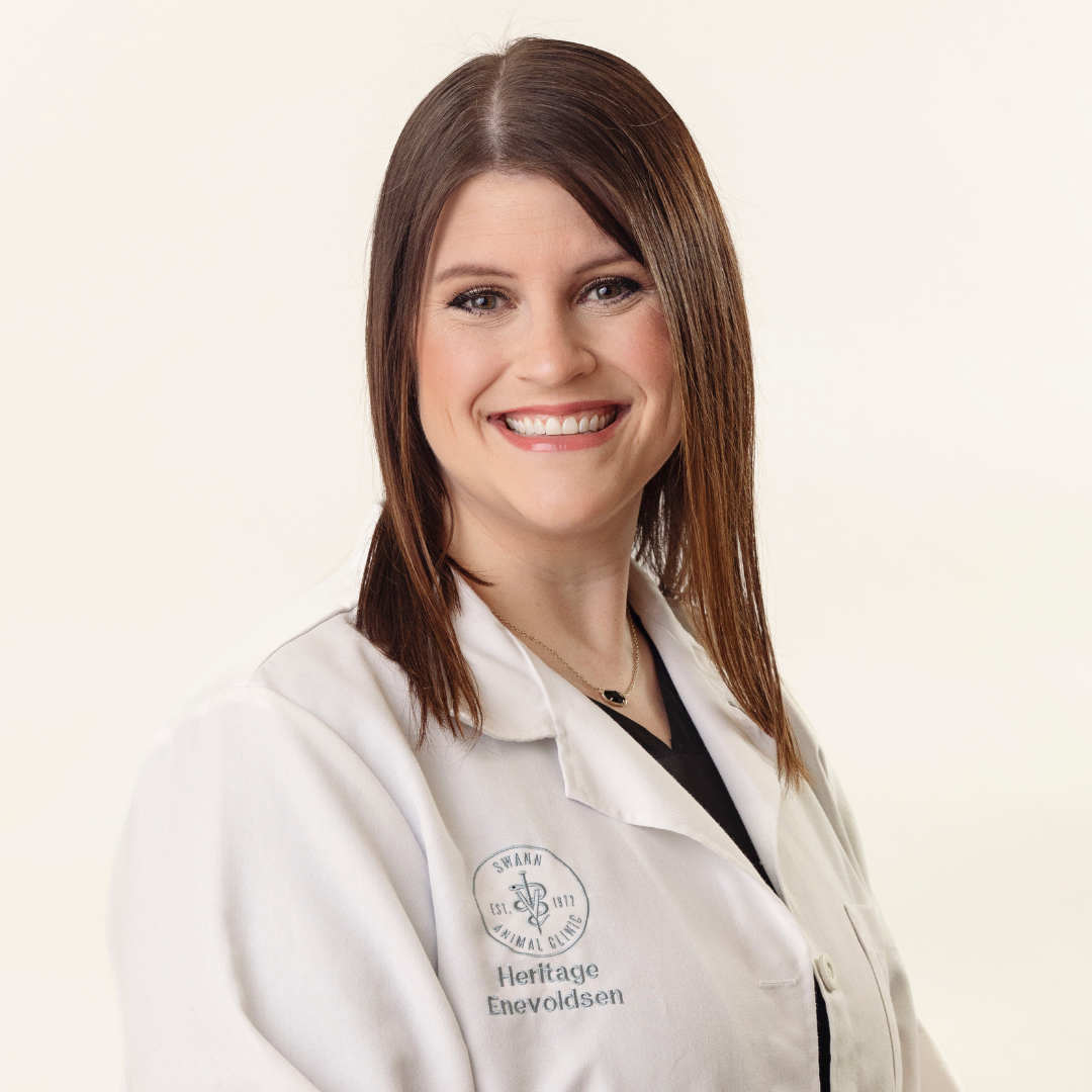 Dr. Heritage Enevoldsen, Urgent Care at Swann Animal Clinic Veterinarian