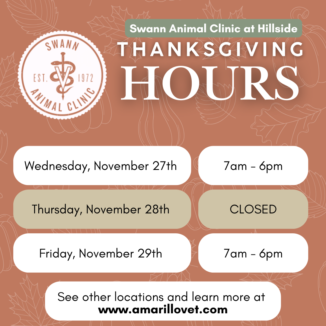 Swann Animal Clinic at Hillside Thanksgiving Hours