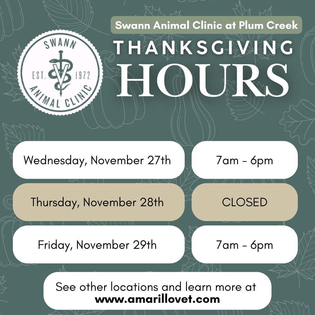 Swann Animal Clinic at Plum Creek Thanksgiving Hours