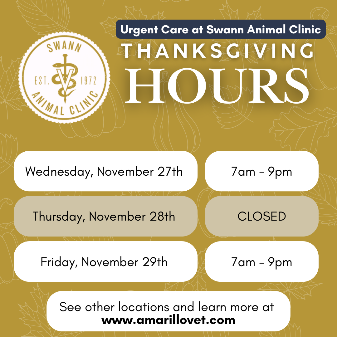 Urgent Care at Swann Animal Clinic Thanksgiving Hours