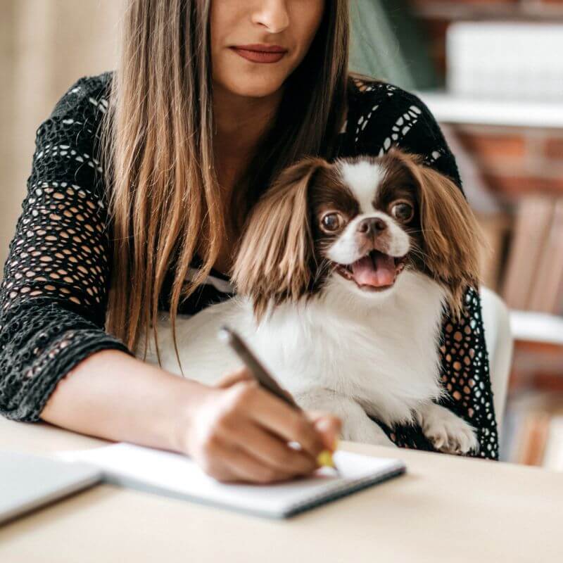 closeup-of-woman-writing-and-holding-happy-dog