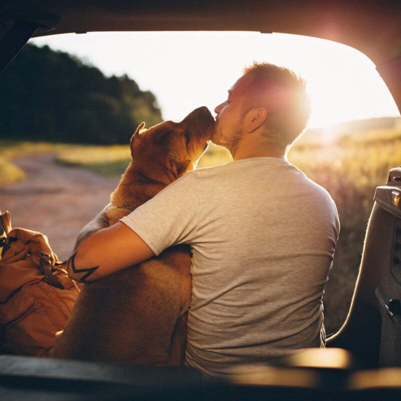 man-and-dog-having-special-moment-during-van-adventure