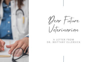 Letter to a Future Veterinarian