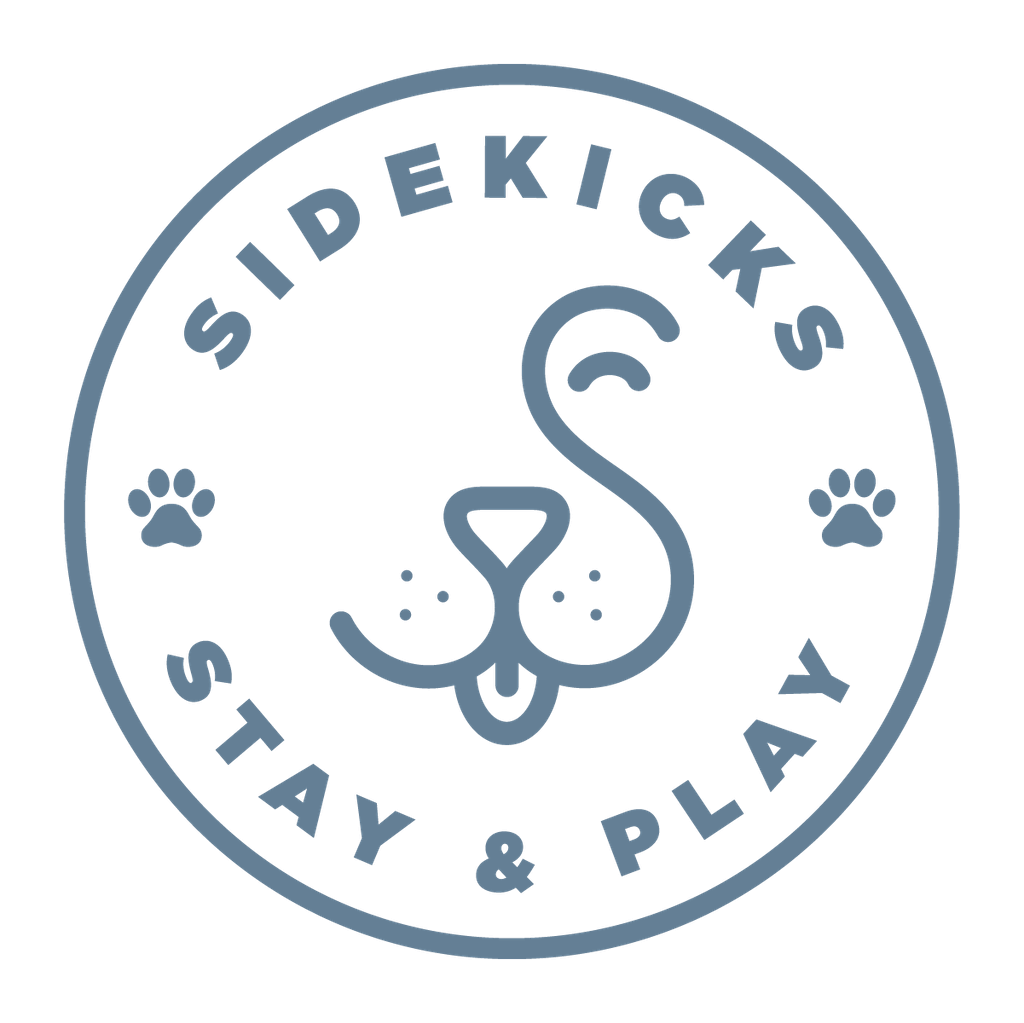 sidekicks