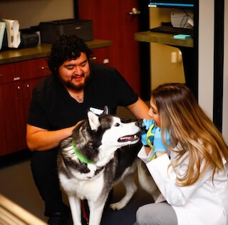 decor image on Swann Animal Clinic