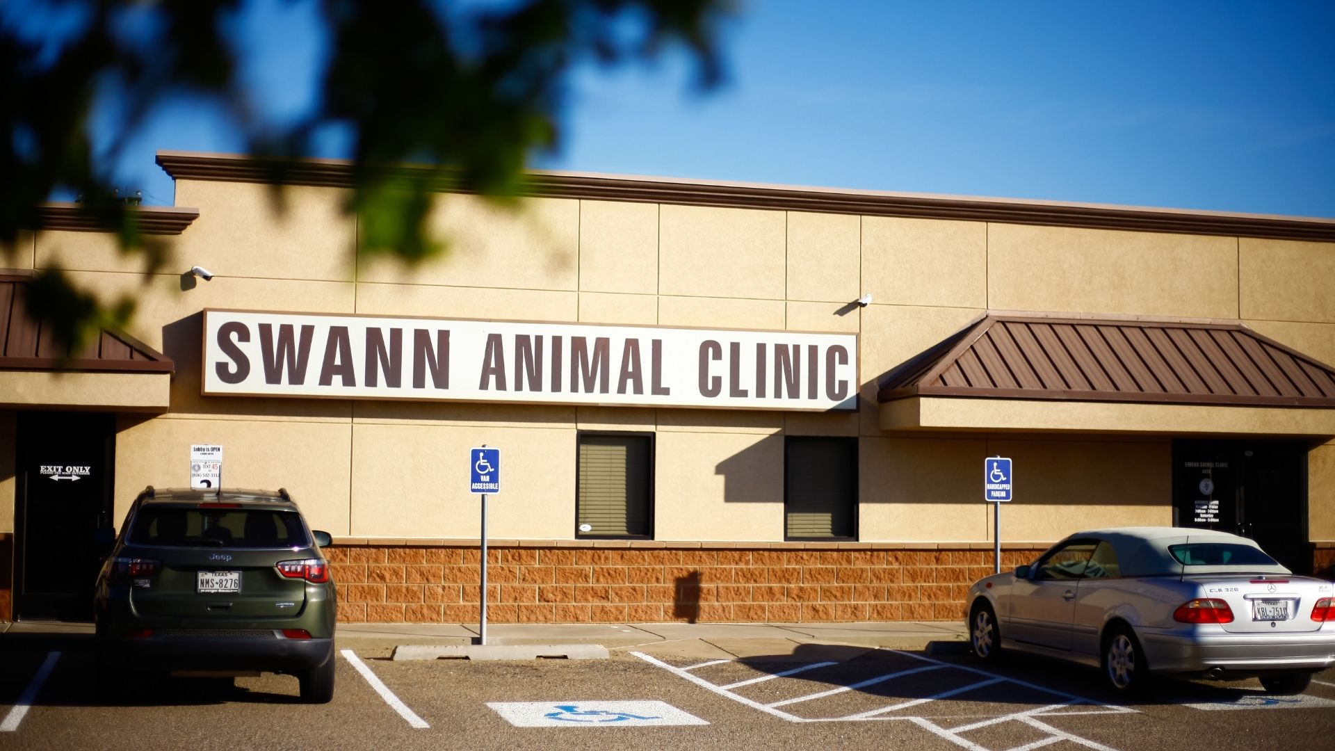 sac-at-45th-location-swann-animal-clinic