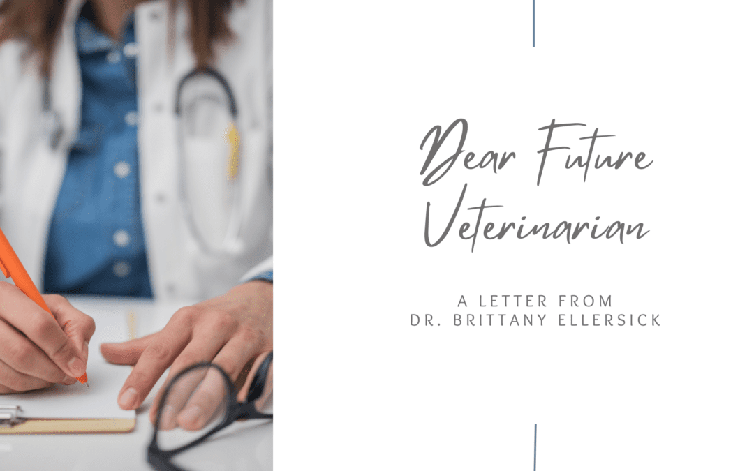 Dear Future Veterinarian